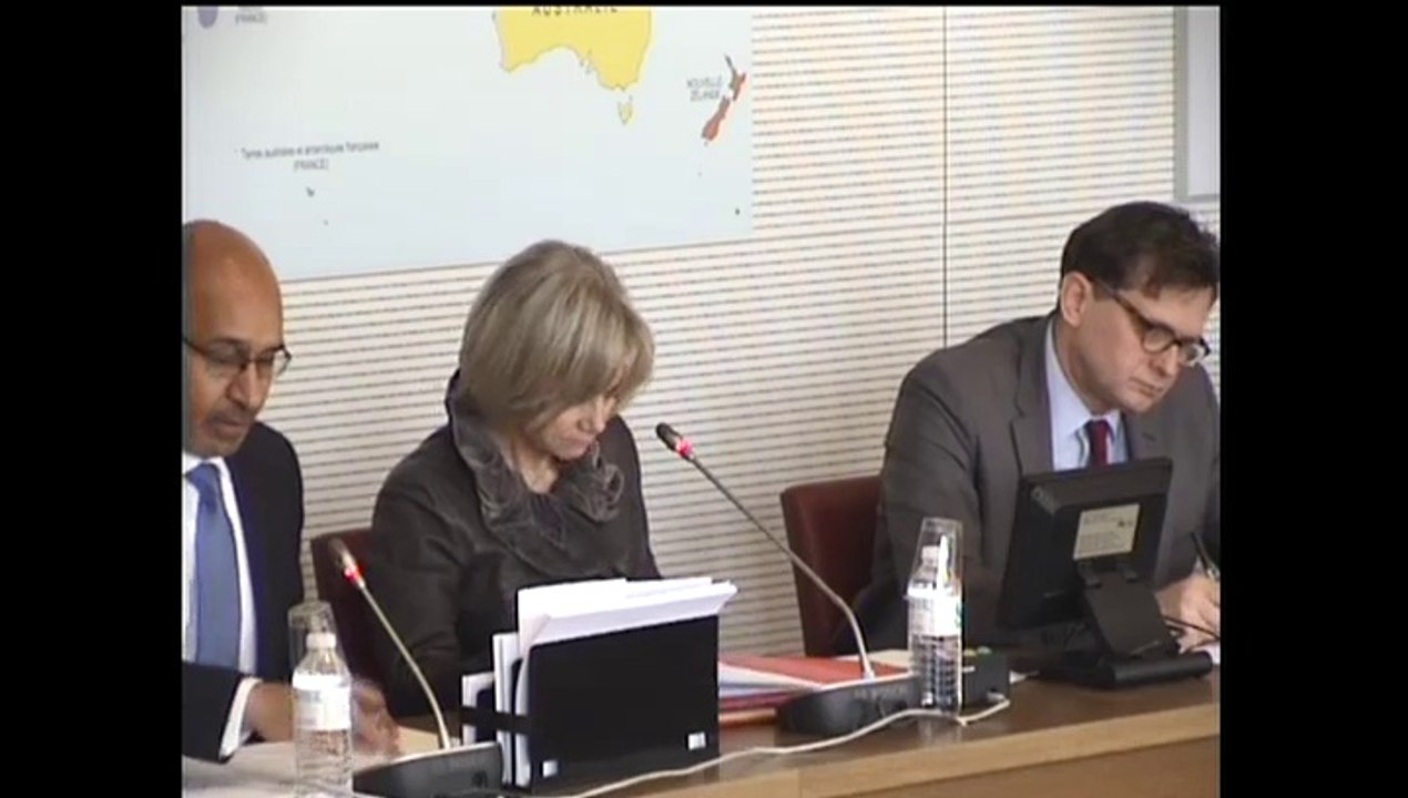 Intervention d'H. Désir à l'Assemblée nationale pour son audition post-Conseil des ministres franco-allemand du 31 mars 2015