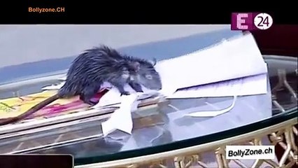 Dream Girl 3 April 2015 - Dream Girl Kay Set Par Chuhoon Ka Atank