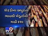 Setback for sugarcane farmers of South Gujarat - Tv9 Gujarati