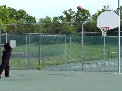 BIGFOOT CAUGHT PLAYING BASKETBALL