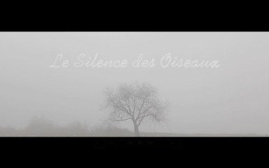 Je suis LE SILENCE DES OISEAUX