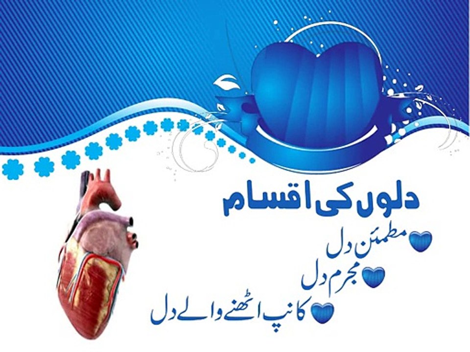 Quloob
