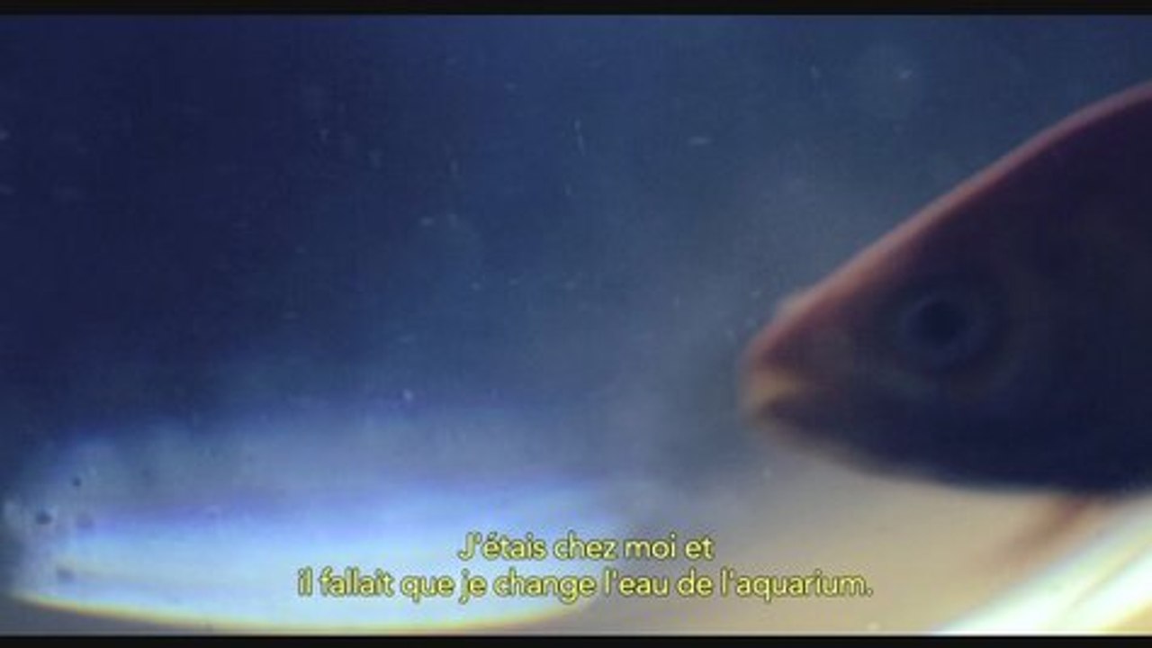 JE SUIS UN VAGUE SOUVENIR