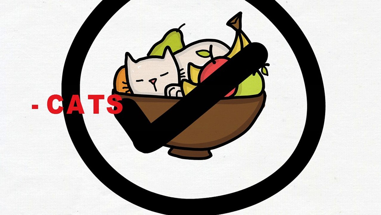 Whole Food Vitamins and Minerals Supplements