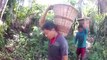Amazonia Co - Preservation and Sustainability of Tree-based Foods