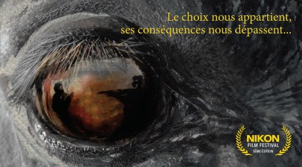 Je suis un No man's land