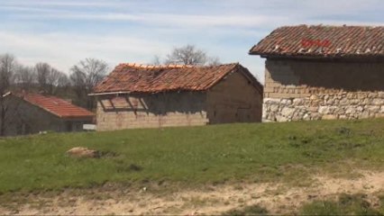 Bursa?da Katır ve At Kesenlere Suçüstü Ek