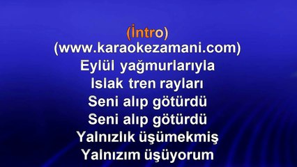 Baha - Çılgınım Benim - 2003 TÜRKÇE KARAOKE