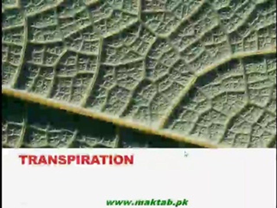 FSc Biology Book1, CH 14, LEC 4; Transpiration and its Types