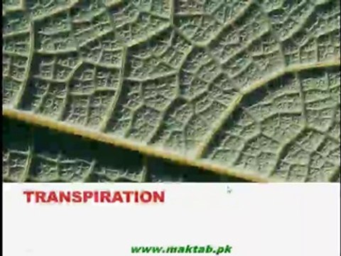 FSc Biology Book1, CH 14, LEC 4; Transpiration and its Types