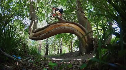 Wao !! amazing bicycle riding