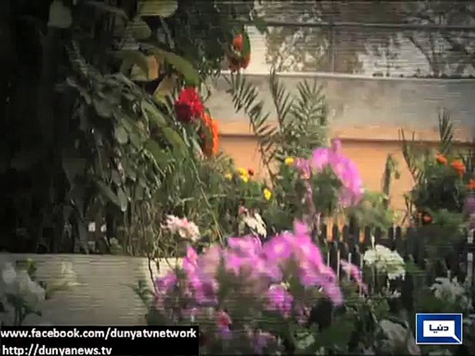 Dunya News - Drizzling continue in various parts of Pakistan