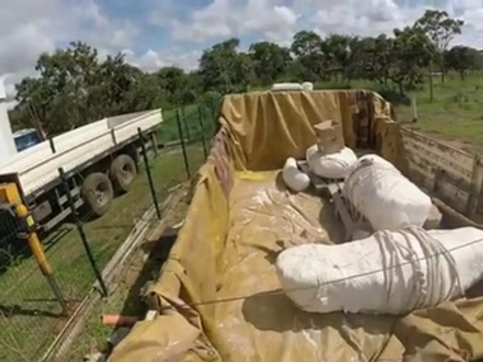 UnB recebe fóssil de dinossauro com 70 milhões de anos para estudos