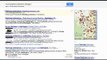 First Page Google Rank In 15 mins FLAT! Organic Top Google Ranking