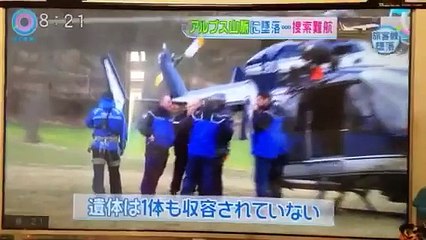 アルプス山脈に墜落