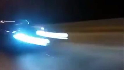 Un Chien Fantôme semble se Téléporter de Nulle Part