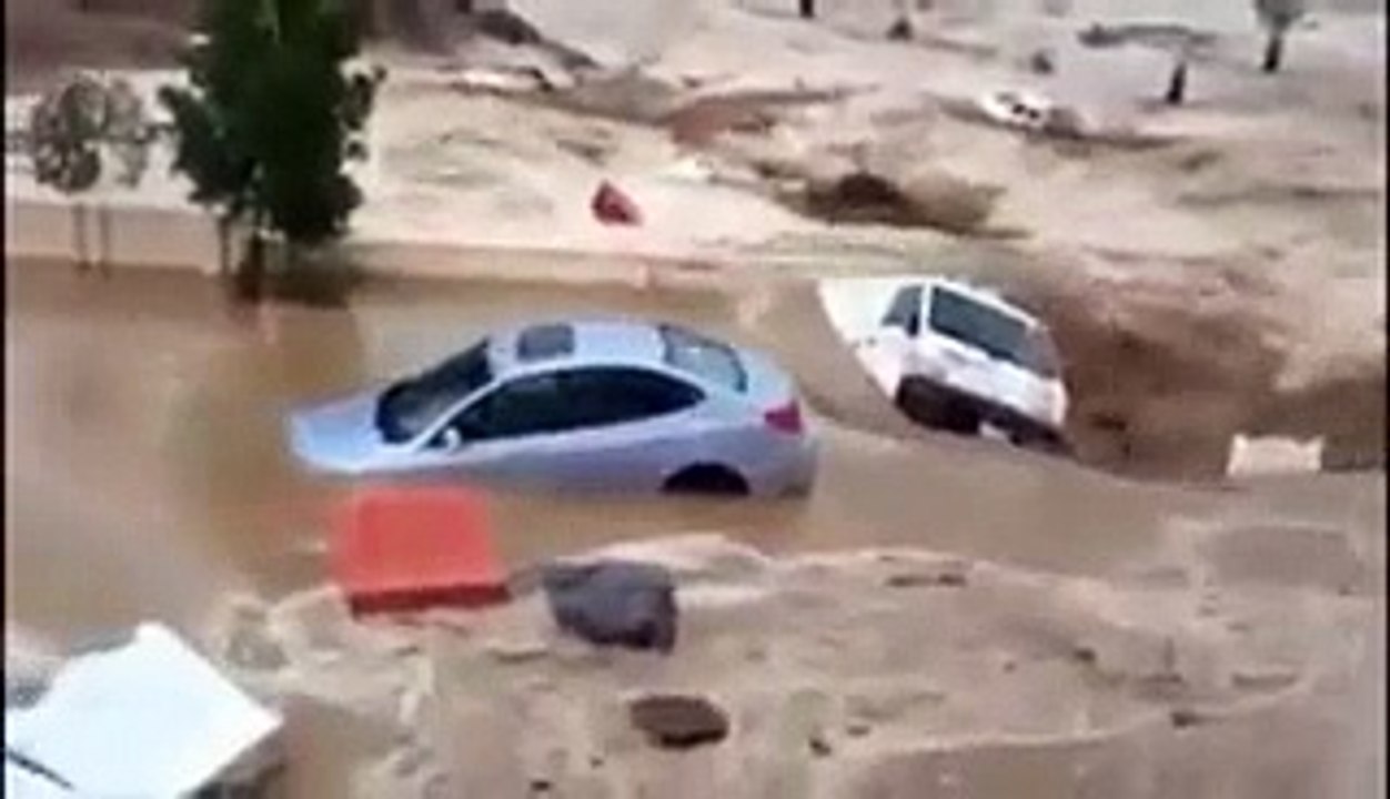 A Terrible Scene Watch Video - Video Dailymotion