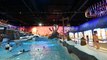 La Panne: le nouveau centre aquatique de loisirs Plopsaqua