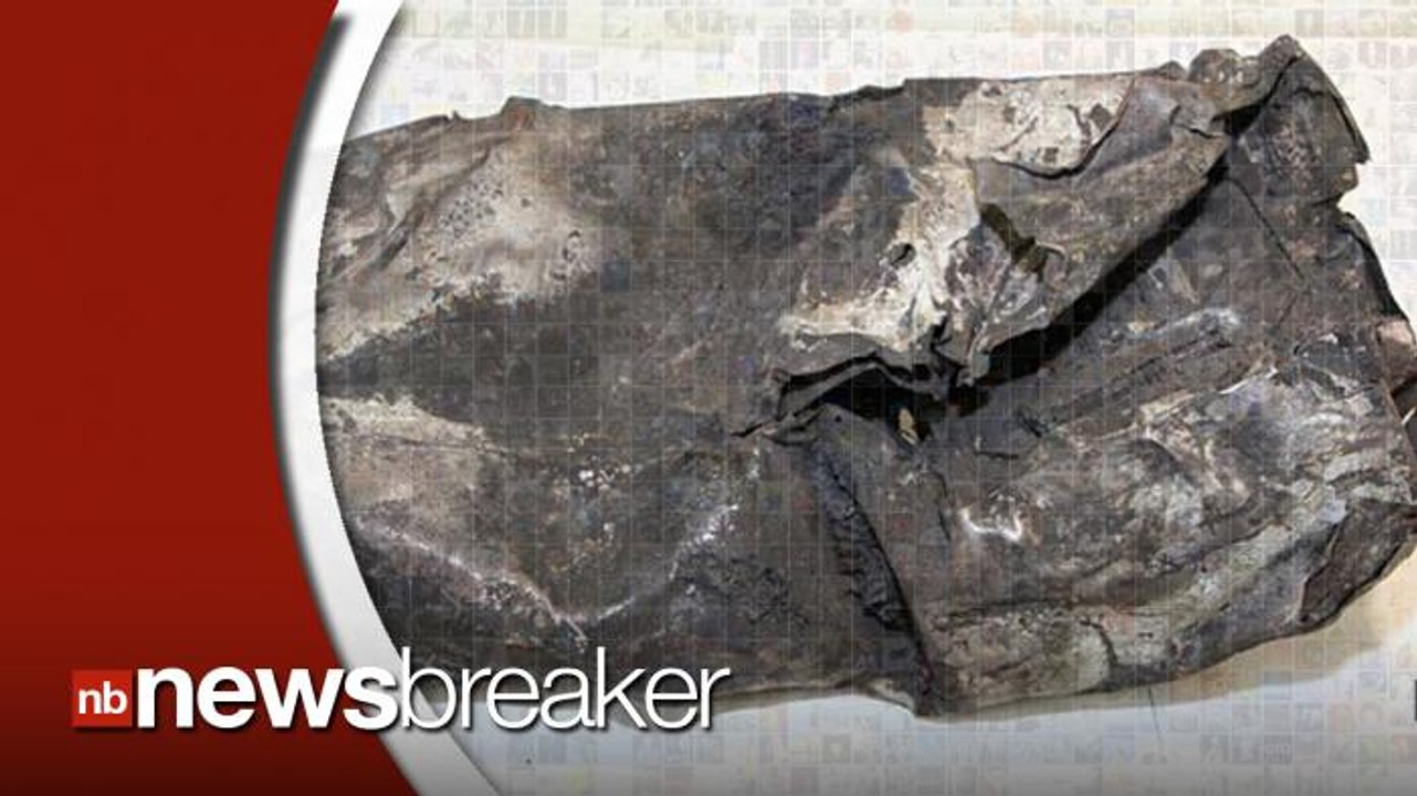 Second Black Box Confirms Co-Pilot Andreas Lubitz Intentionally Crashed Germanwings Flight