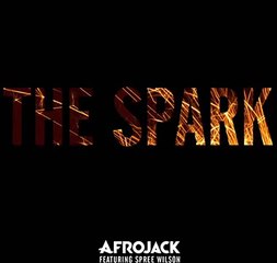 Afrojack ft Spree Wilson - The Spark (Original Club Mix) 2015