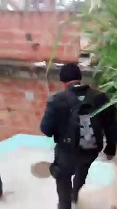 Criança de 10 anos é morta por  bala perdida no Complexo Alemão