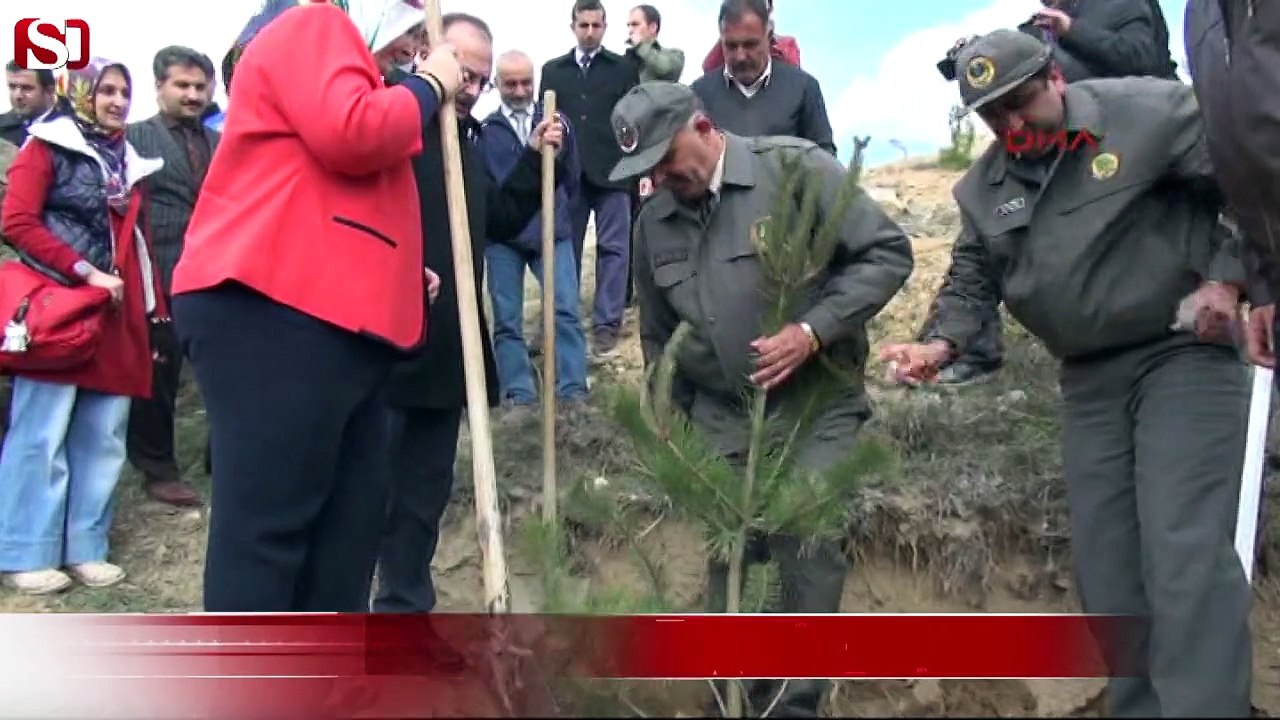Hakkari'de şehit savcı Kiraz ve Özgecan için fidan dikildi