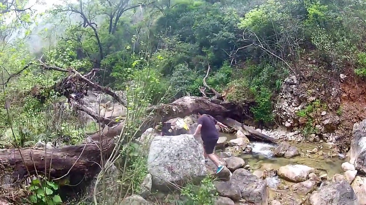 ESTANZUELA