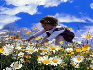 Özdemir Erdoğan - Baharda Kuşlar Gibi