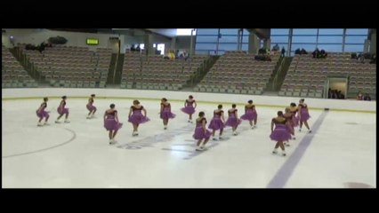 Adult SYS II Synchro Free Program (REPLAY)
