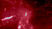 Supercomputer Simulation of the Universe and Galaxies (@ z=1)