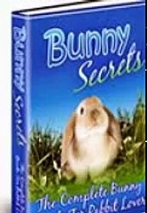 Bunny Guide For Rabbit Lovers!