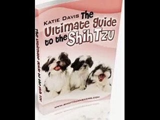 Shih Tzu Dog Training
