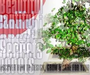 Bonsai Secrets