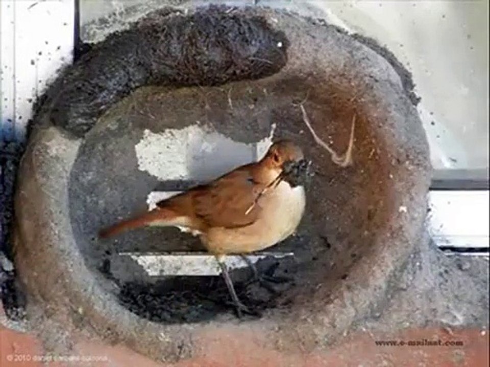 kudrat ka karishma- must watch