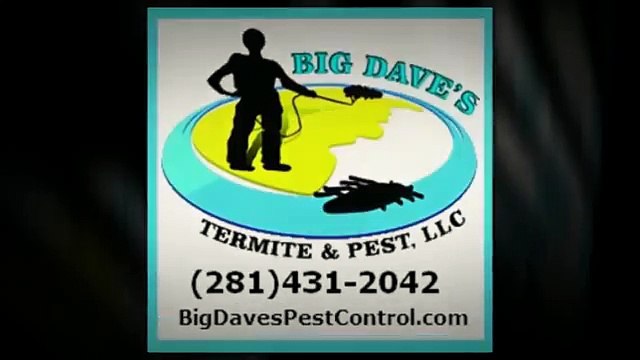 Big Dave's Termites & Pest Control-Exterminator near Fresno TX