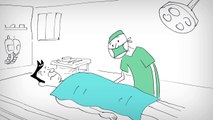AniMed: What is BPH- Benign Prostatic Hyperplasia