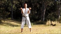 karate training - UCHI UKE