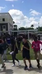 Graphic High School Fight