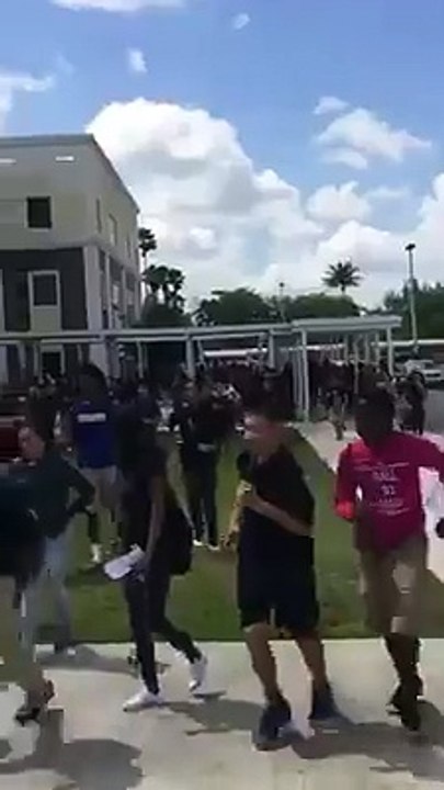 Graphic High School Fight