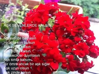 AŞK SEVENLERDE KALSIN Dagbey Şiirleri