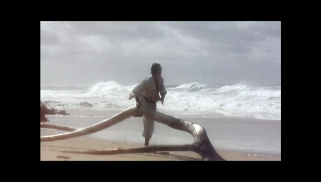 karate training - MAWASHI GERI