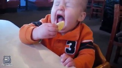 Babies Eating Lemons for First Time Compilation!