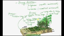 FSc Biology Book2, CH 25, LEC 3; Succession and two major forms of succession