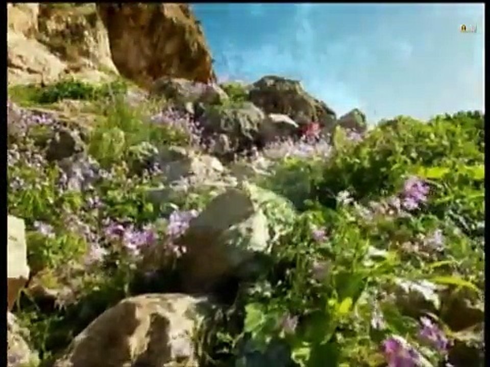 فلسطين هذا الصباح السبت -4-4-2015 ج1