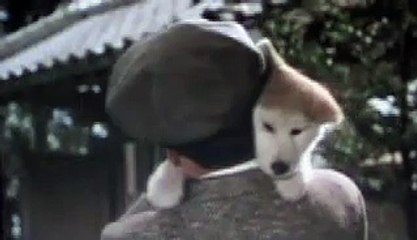 Hachiko monogatari  ハチ公 物語 - Bittersweet (Akita dog)