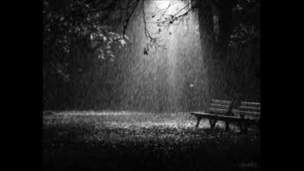 Birch Book - A Little Bit Of Rain