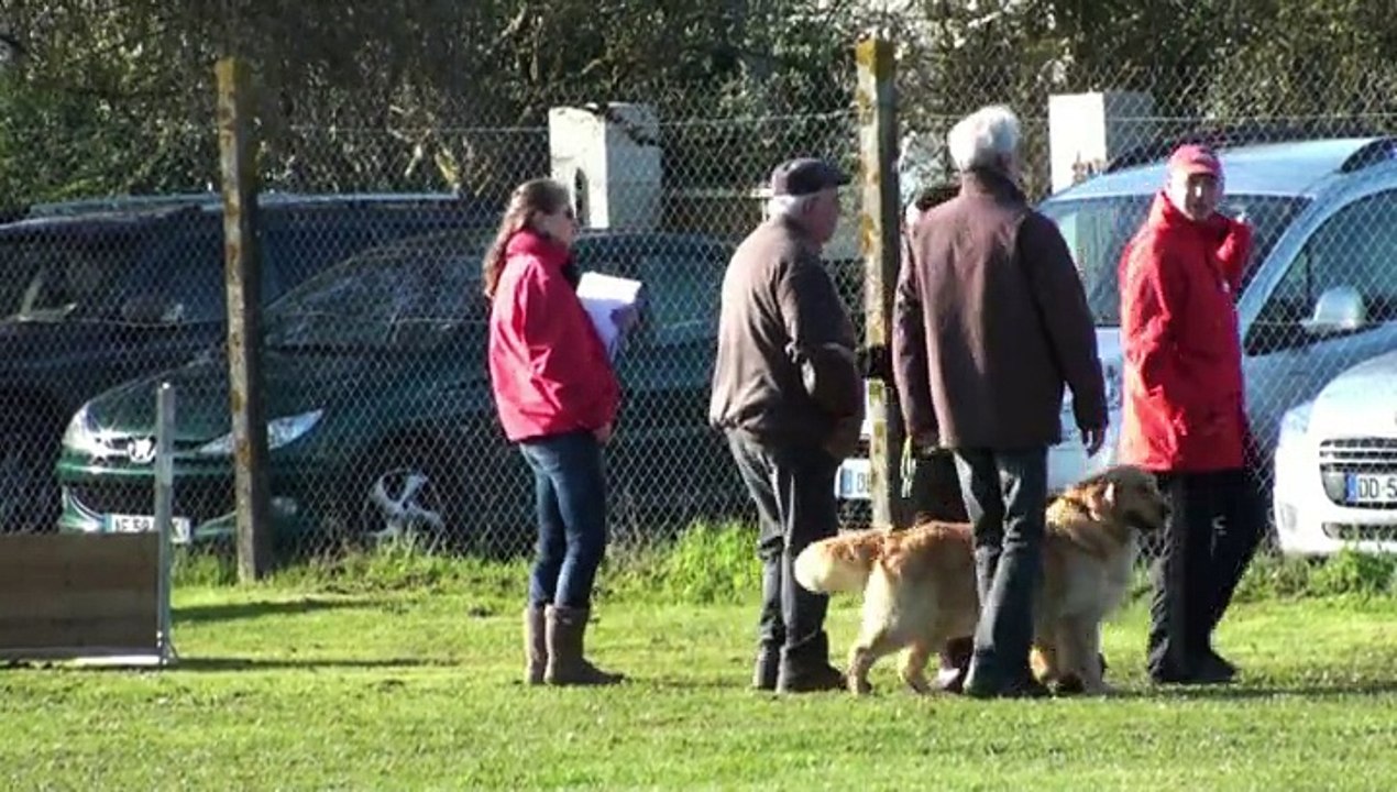 Concours d'obéissance ACP Haribo en classe 1