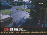 man shoots pit bull that attacked his dog