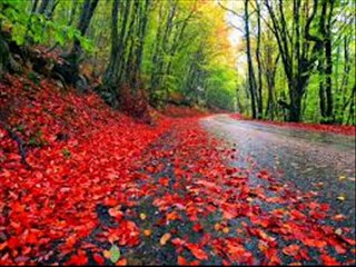 .. میری آنکھوں نے چنا ہے تجھے کو دنیا دیکھ کر