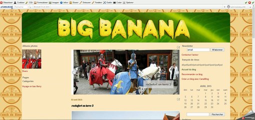 image qui se répéte sur tout le fond du blog